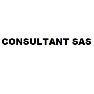 Consultant Sas