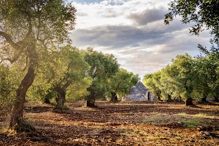 the puglia tours