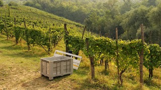 Azienda Agricola La Ciocca