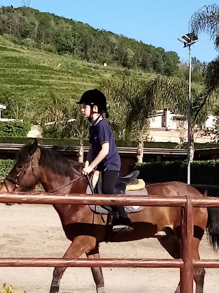 Centro Equitazione L'Angolo del Cavaliere