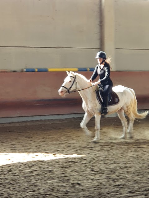 Centro Ippico San Marco asd Scuola Federale Fise