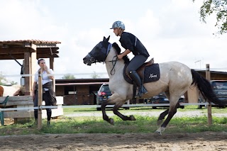 Passeggiate a Cavallo in provincia di Milano - Scuderia Esposito