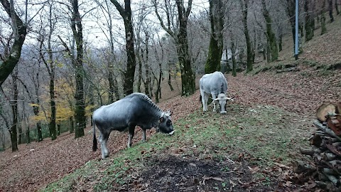 Monte Cocuzzi