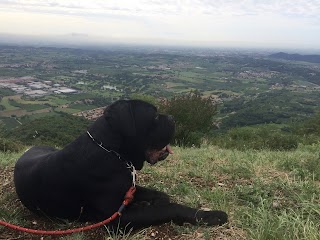 Ambulatorio Veterinario Tonni Mirella