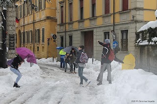 Liceo Scientifico Spallanzani