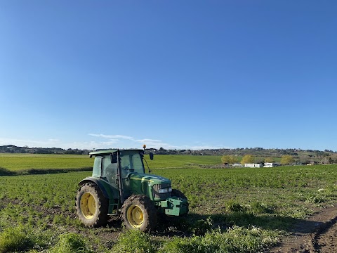 Azienda Agricola Biologica Orto di Fabiana