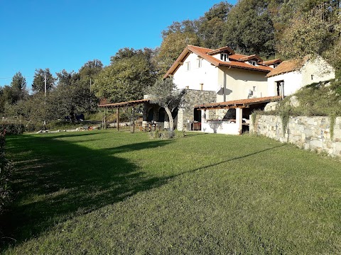 Turismo nel verde gallonero