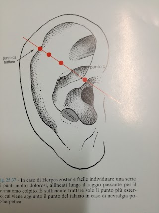 Medico Chirurgo Specialista in Fisioterapia Dott.ssa BIGNAMI ANTONELLA