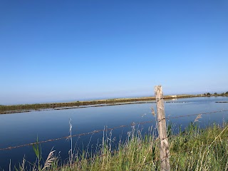 Oasi naturale delle saline