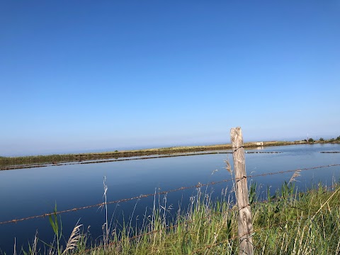 Oasi naturale delle saline