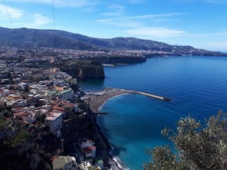 Naples Guided Tours - Private Tours and transfers in Naples, Pompeii, Capri, Amalfi coast