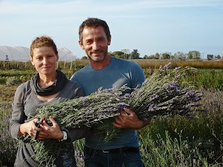 Azienda Agricola Dolcetti Dario