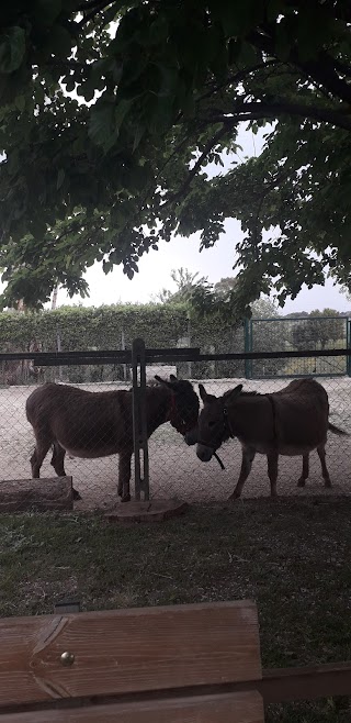 Fattoria di Chiara e Arianna ONLUS