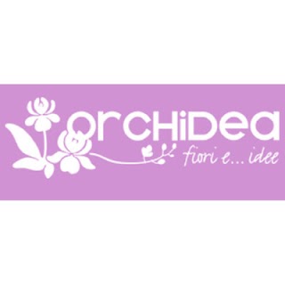 Orchidea Fiori e Idee