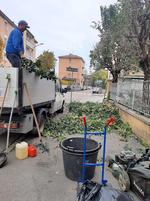 CSM Global Service| Impresa di pulizie, disinfestazioni, sanificazioni e giardinaggio| Bologna