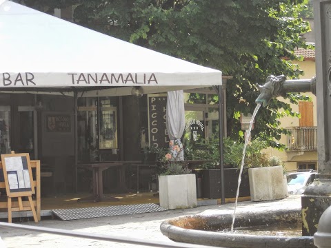 Albergo Piccolo Hotel Tanamalia