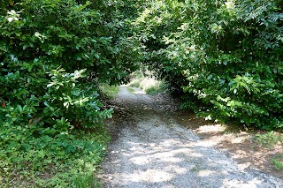 Parco Blu degli Aironi