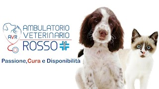 AMBULATORIO VETERINARIO ROSSO