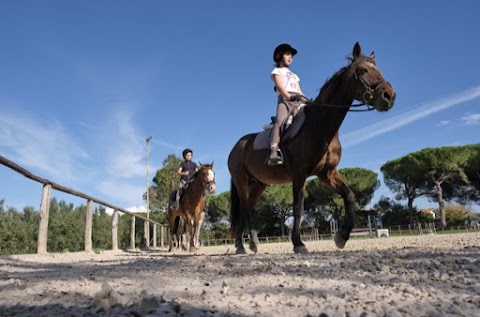 Circolo Ippico Della Leia