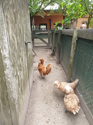 Fattoria Didattica del Parco Giardino Sigurtà