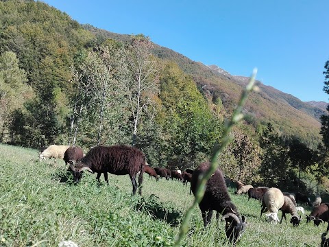 Fattoria Campo delle Sore