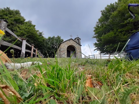 Chiesa di Montagnana