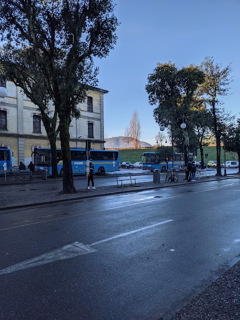 Stazione Bus Lucca