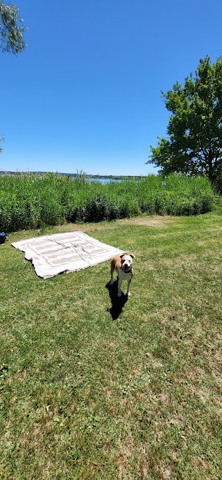 Accesso Spiaggia Cani