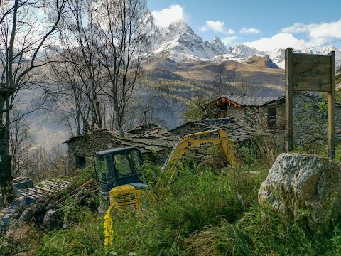 MonViso Institute