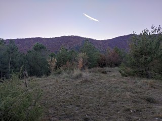 Monte Motta