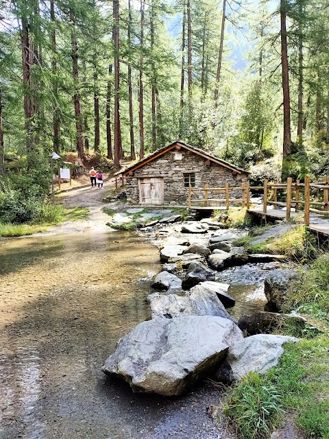 Lago Pellaud