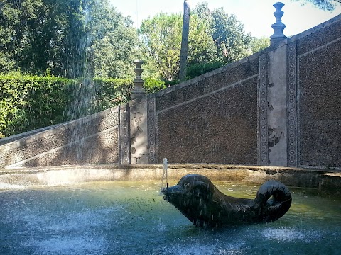 Fontana Dei Draghi