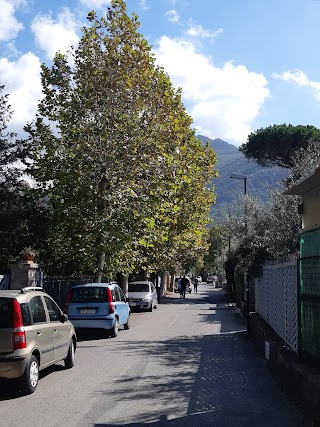 Ischia Market