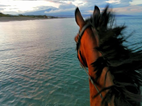 Sicily Horse Riding