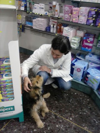 Farmacia Fillak