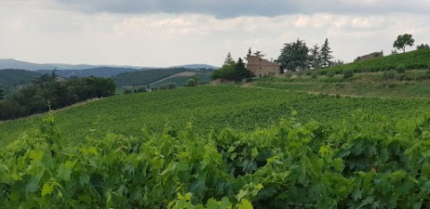 Noleggio con conducente Camuso Massimo