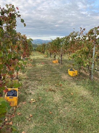 Agriturismo Cavaliera