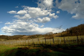 Parco delle Colline