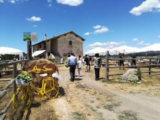 Università Agraria di Manziana