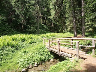 Percorso a piedi nudi - Park Therapy