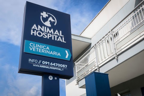 Animal Hospital - Clinica Veterinaria Palermo