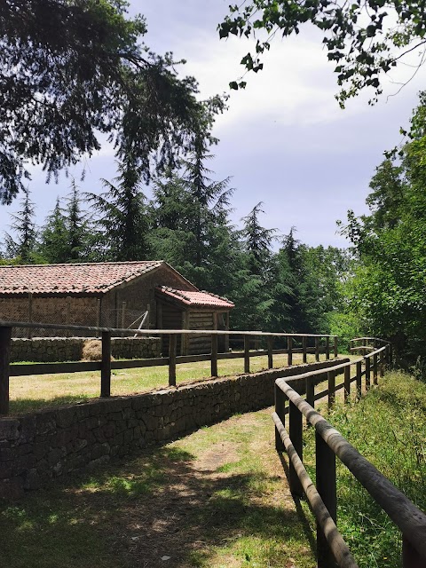 Rifugio Trearie