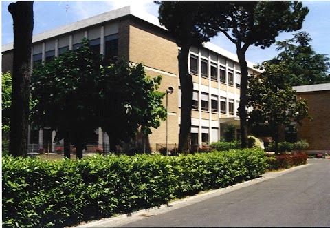 Scuola Privata Parificata Elementare Nostra Signora Di Lourdes