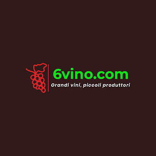 6vino.com