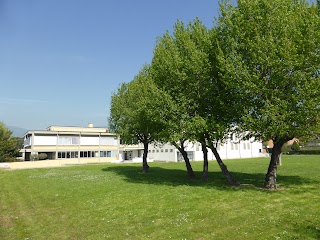 Scuola secondaria di 1° grado "Luigi Russo" - Istituto Paolo Borsellino