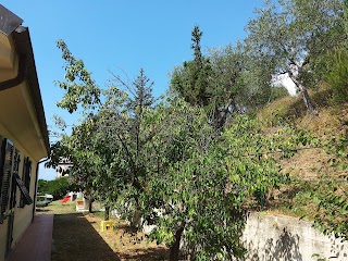 Contrada Boschi - Sestri Levante