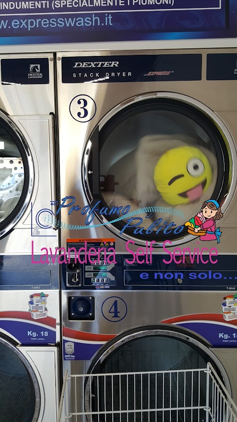 Lavanderia Self Service Profumo di Pulito