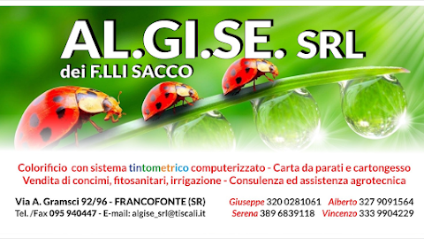 Sacco Forniture Cartongesso Colorificio Carta Da Parati Agrofarmaci Ed Assistenza Agro Tencnica