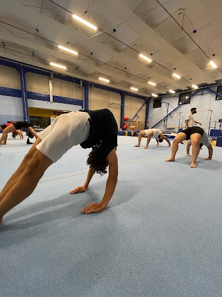 Palagym Palestra Ginnastica Ferrara