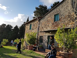 Azienda Agricola IL POGGIOLINO Montemurlo